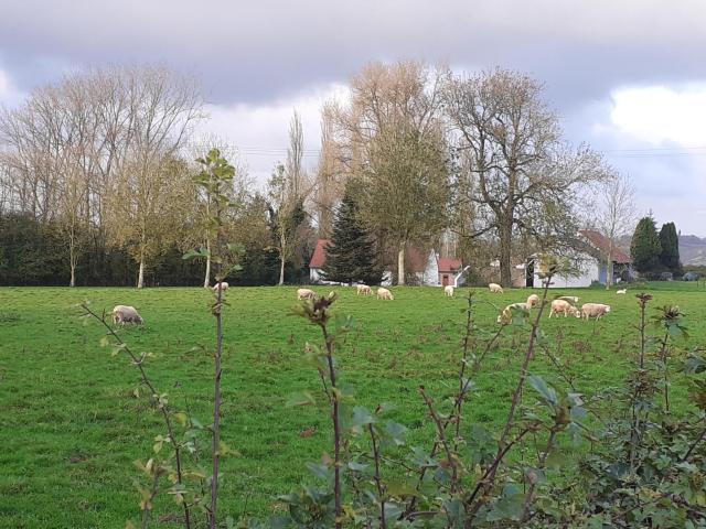 Gîte au Bonh'Air Indépendant