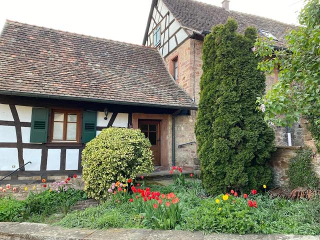 Studio de charme à Niederbronn-les-Bains