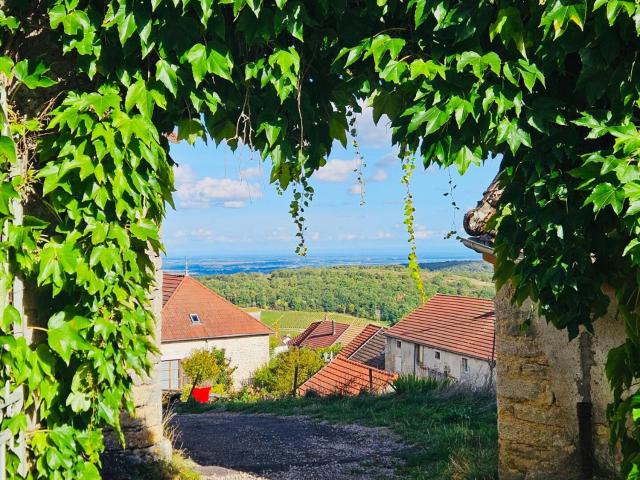 Maison unique avec vue sur les vignes