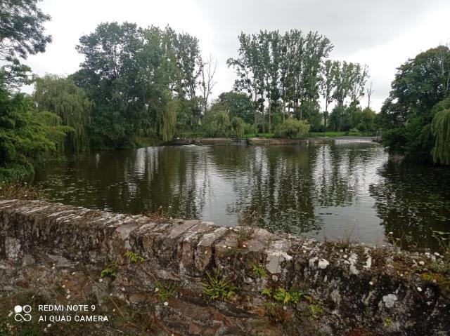 Repos au bord de l'eau