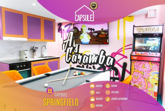 Capsule Springfield - Balnéo -Sauna - Billard