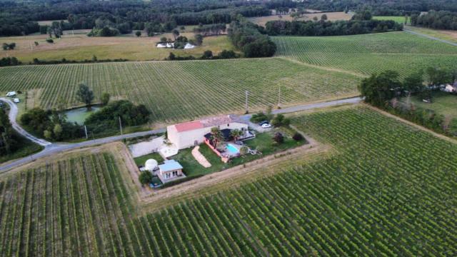 Bubulles dans les vignes