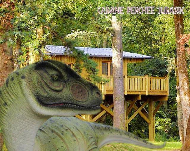 Cabane Perchée Jurassic Piscine, Spa et Hammam proche des Gorges de l'Aveyron