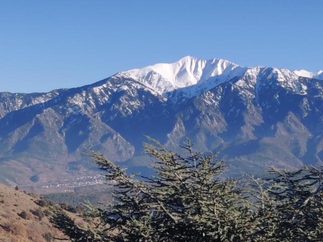 Gîte Canigou