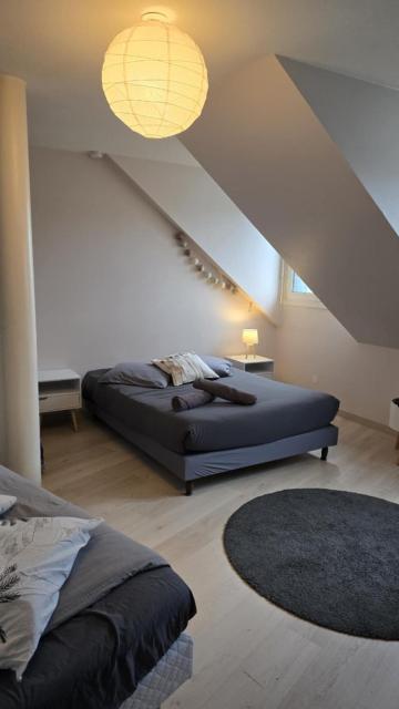 Appartement Strasbourg Centre