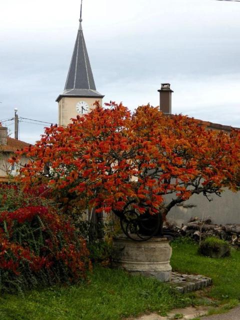 stop Gîte atypique le Saloon du Vermois