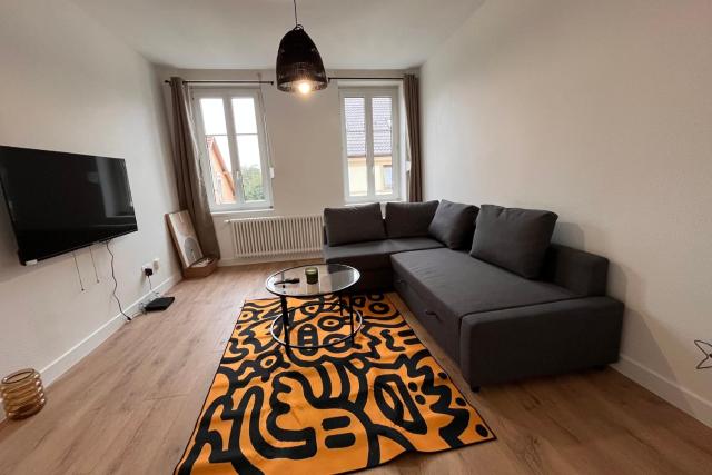 Cosy Rent Appartement Schiltigheim