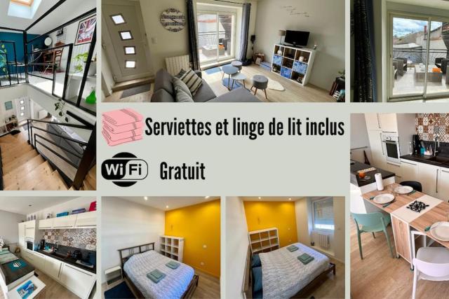 Charmant appartement à Roanne