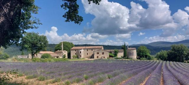 Le Cosy Luberon - Gite provençal avec piscine