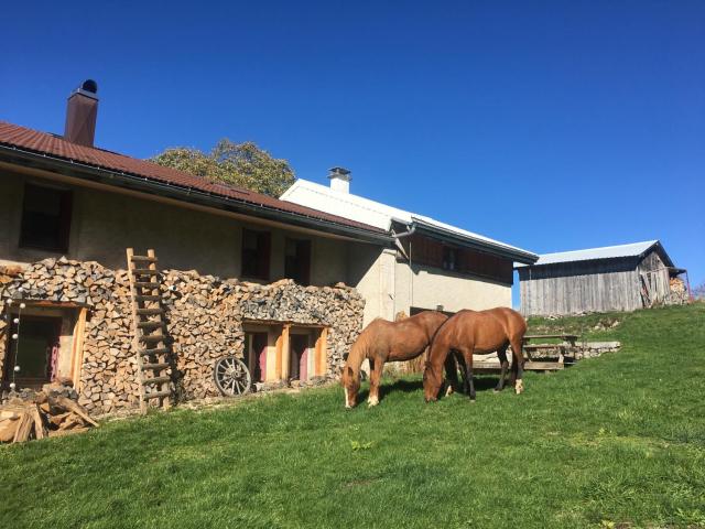 Gîte La Petite Grange - En pleine nature ressourcement et randonnée