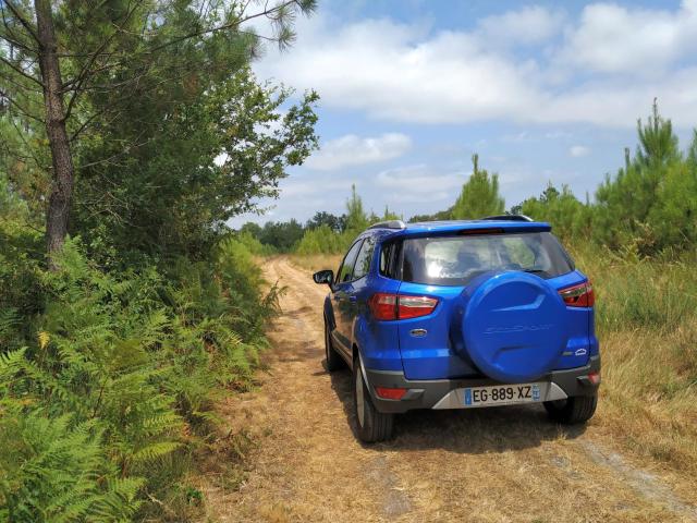 Maison en forêt, calme, proche village et piste cyclable - meublé 3 étoiles