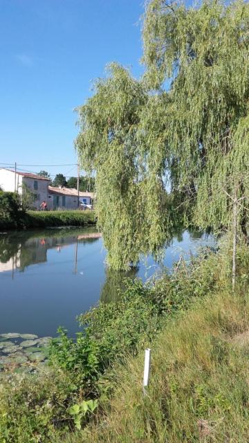 Maison calme au bord de l'eau