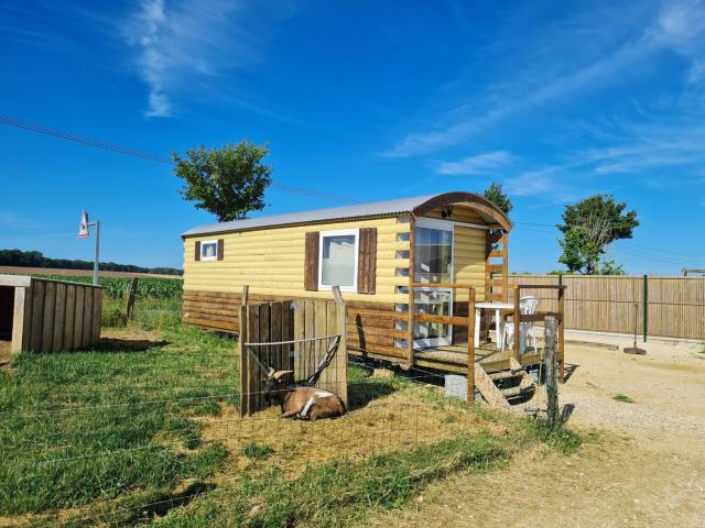 Roulotte bohème confortable à la ferme pédagogique près de Nancy - FR-1-584-365