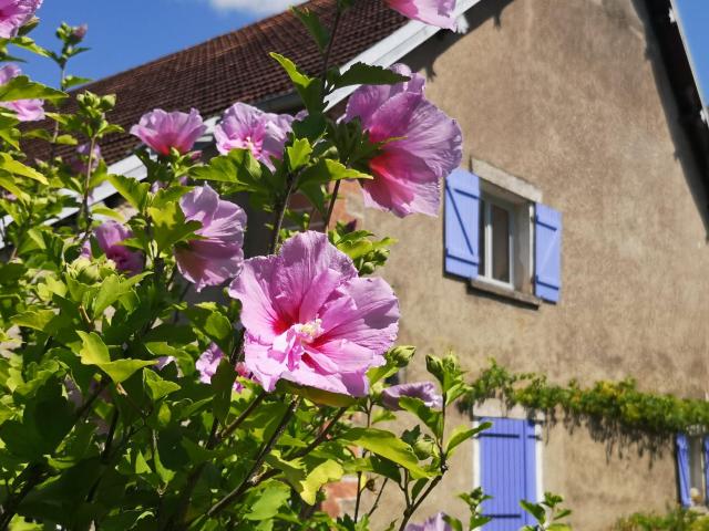 3 Chambres d'hôtes vers Vesoul le nid qui danse cocon à la campagne jusqu'à 11 personnes