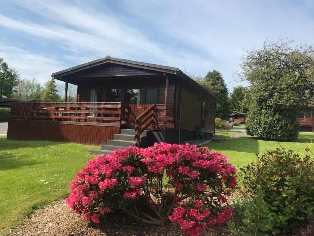 Bluebell Lodge 5 with Hot Tub