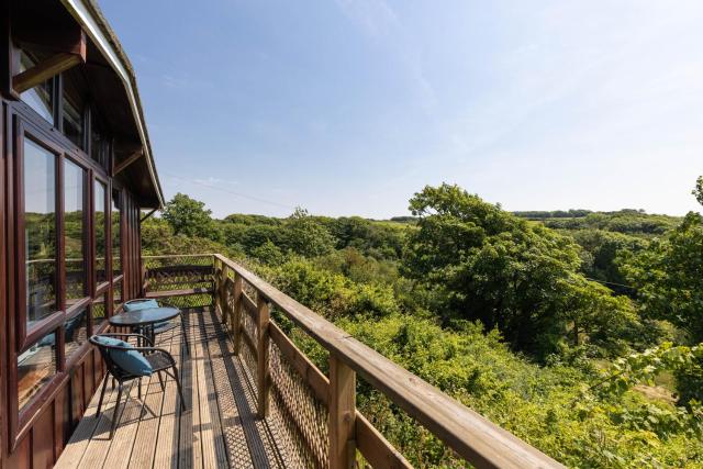 Coastal cabin, spectacular views, doorstep woodland walks, sea 5 mins