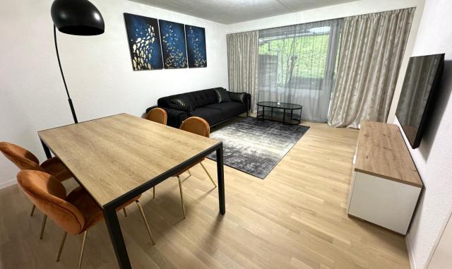 Luxury Apartment in Baden