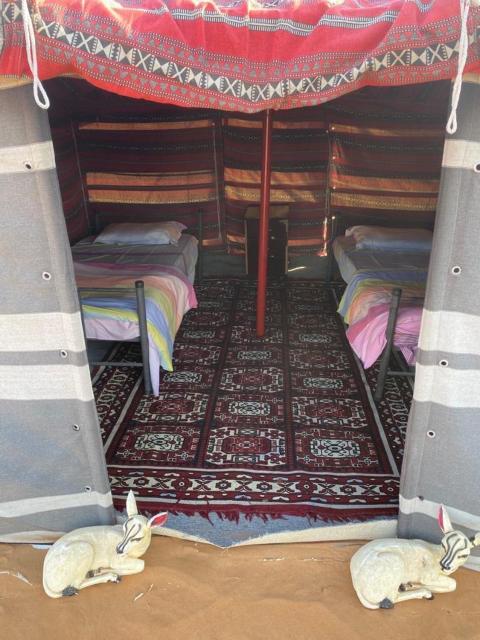 Authentic Nomads camp