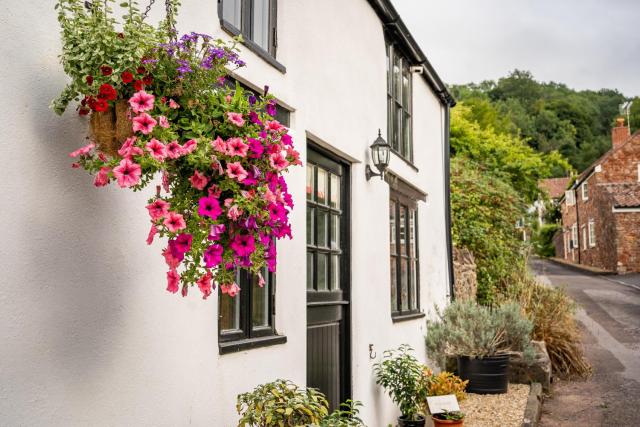 Woodview - cosy 1840s cottage in Chew Valley and Mendip AONB