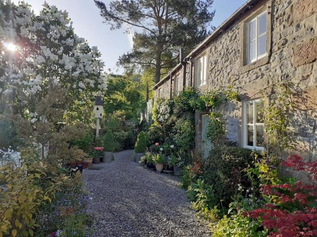 Gorgeous romantic cosy cottage retreat with views