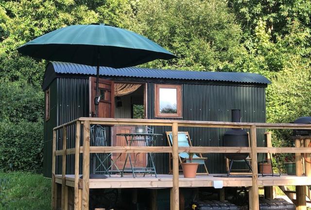 Shepherd's Hut. Shower & WC. Deck. Amazing view