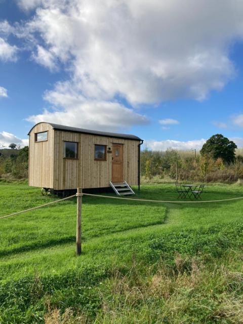 Shepherd's Huts in Barley Meadow at Spring Hill Farm