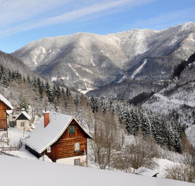 Romantische Ferienhütte Ennstaler Nat Kalkalpen bis 6 Personen