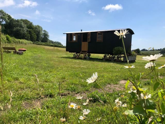 Deer Lodge Shepherds Hut