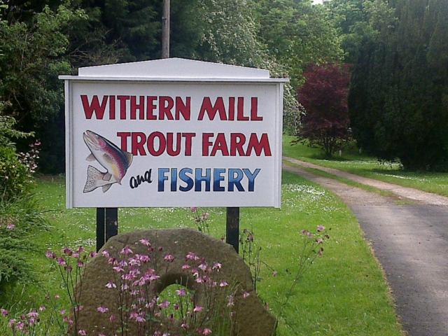 Withern Mill Trout Farm