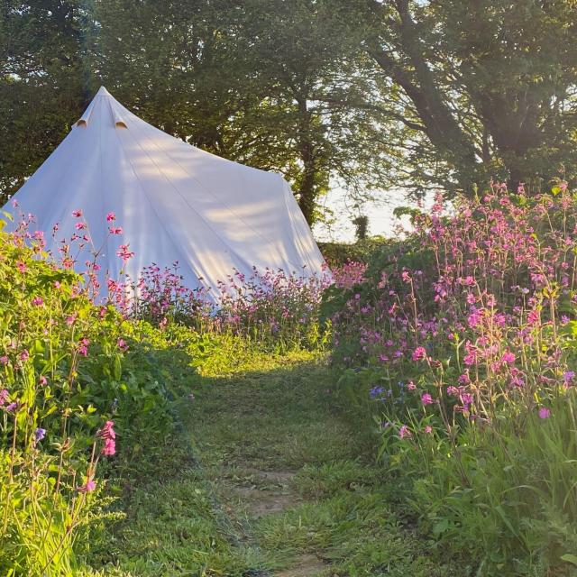 Foxglove Field Glamping