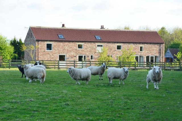 Luxury Barn with sauna near York welcoming families, friends, groups