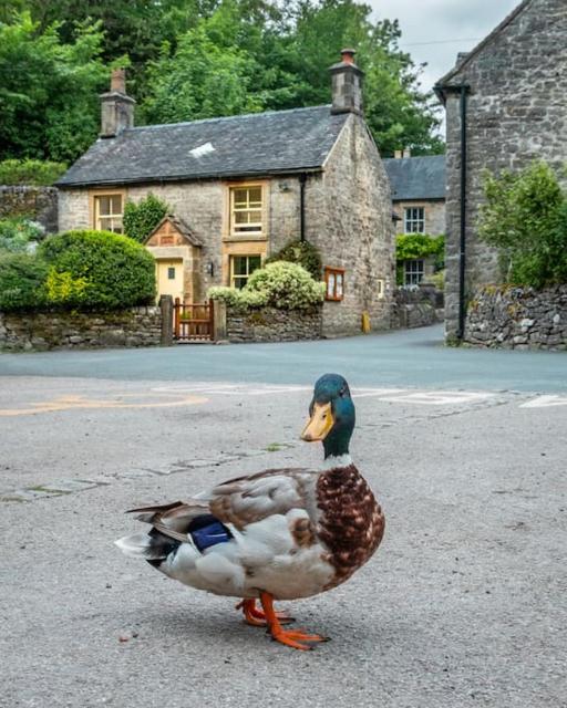 Duck Cottage Milldale Alstonefield Peak District