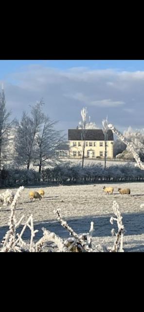 Arney Lodge Farm