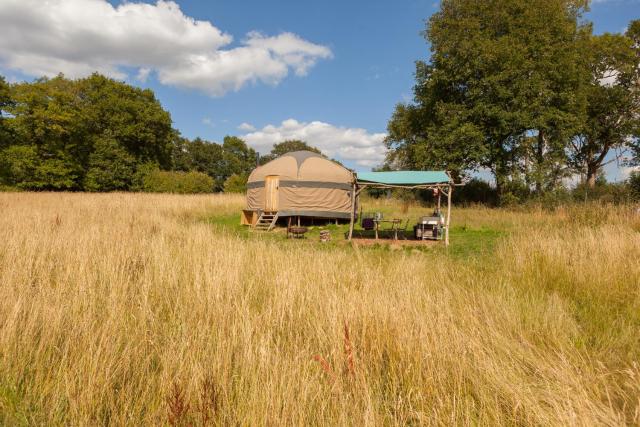 Oak Yurt