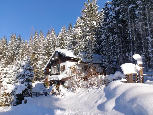 Alm-Ferienhaus Gaisegg am Klippitztörl