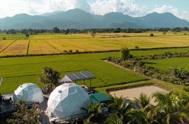 Serenity and Delight Glamping Dome