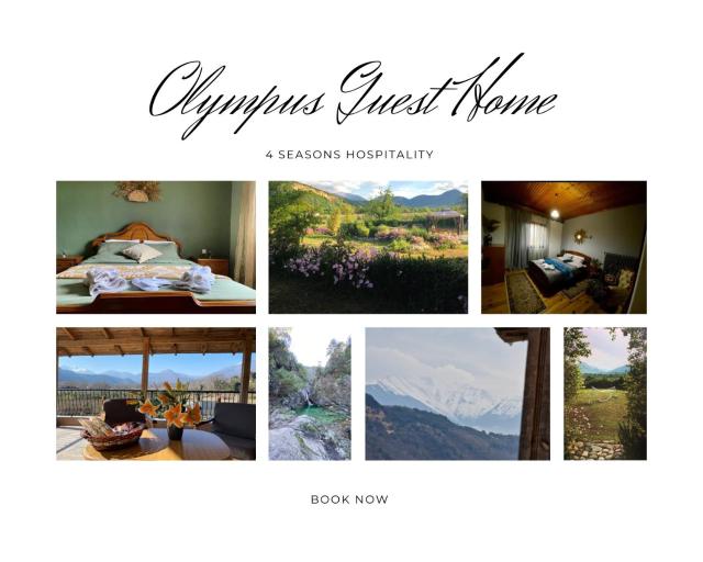 Olympus Guest Home