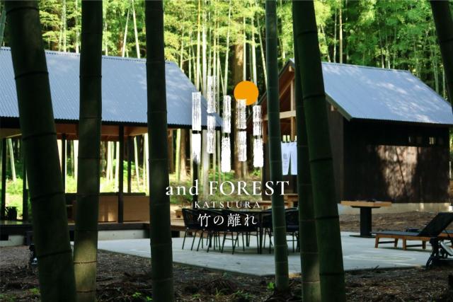 and FOREST Katsuura Take no Hanare - Vacation STAY 91561v