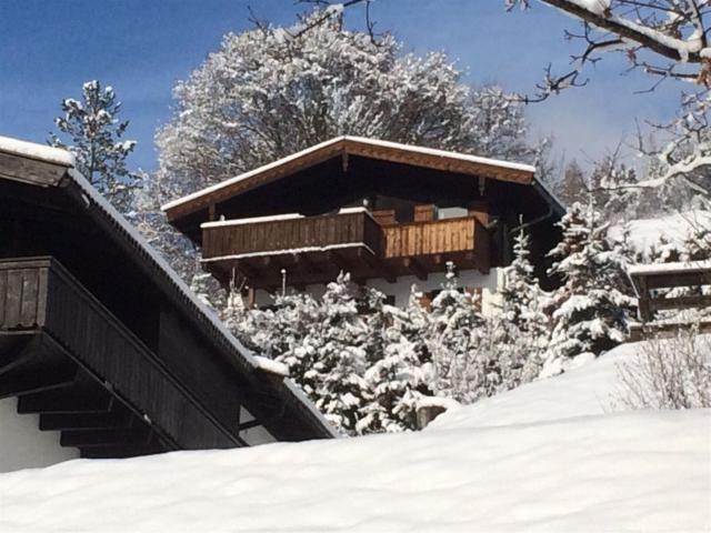 Chalet Anna near Ski area in Niedernsill