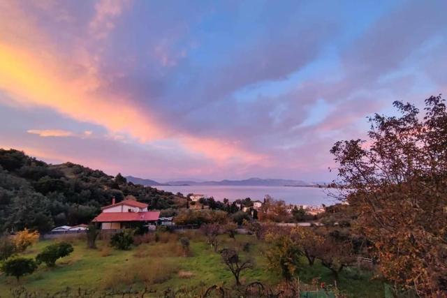 Ολόκληρος όροφος αγροτική οικία