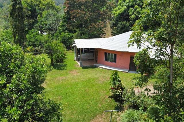 Casa en la naturaleza