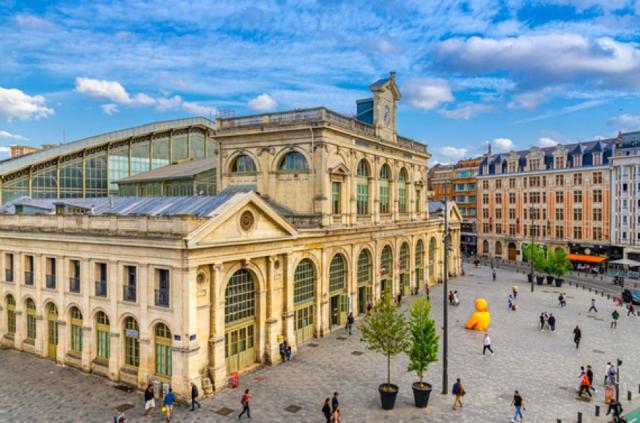 INCONTOURNABLE APPARTMENT IN FRONT Of GARE LILLE FLANDRES