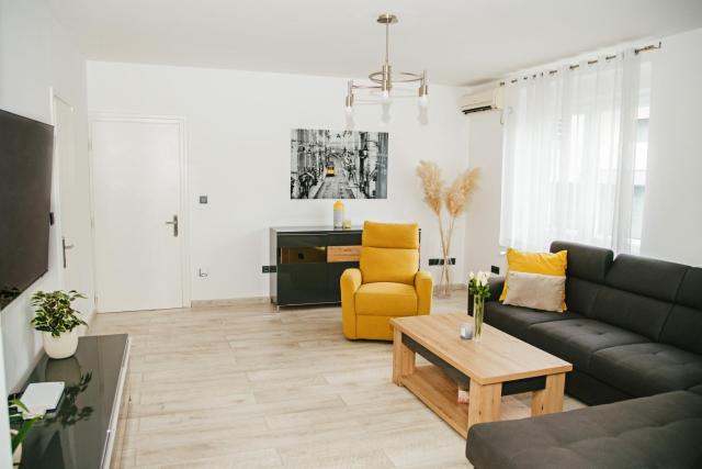 City Center Spacious Apartment Brandt