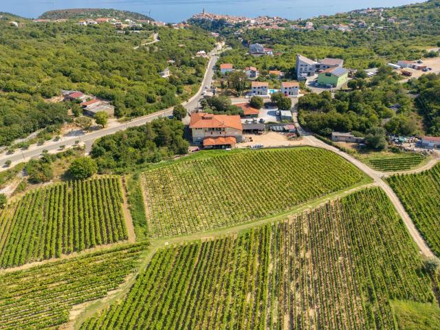 Vineyard apartment