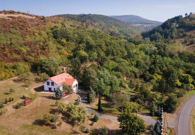 Zemplén Cottage (breakfast&Tokaj wine tour)