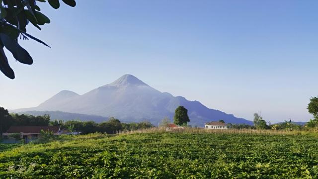 Avila Ketapan Rame Hotel