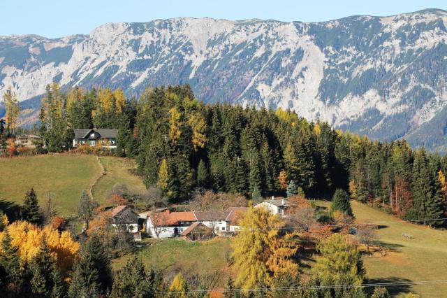 Miniferienwohnung für unkompliziertes Naturliebhaberpärchen