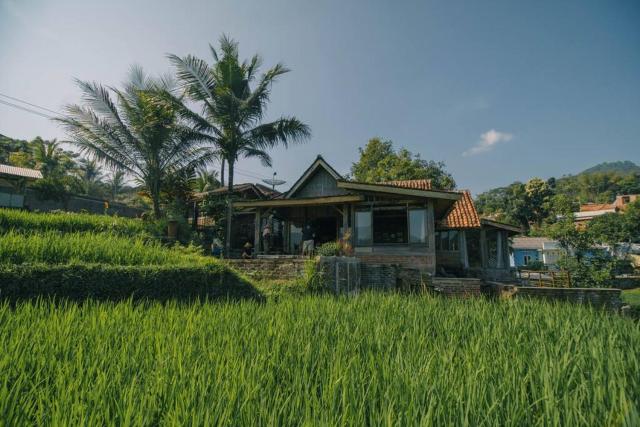 Villa Cetok Syariah - Nuansa Pedesaan