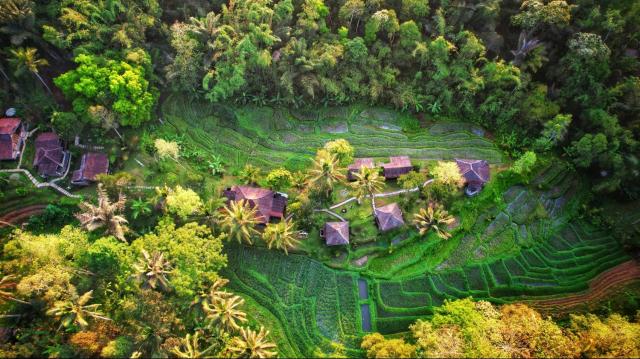 Oemah Tepi Sawah