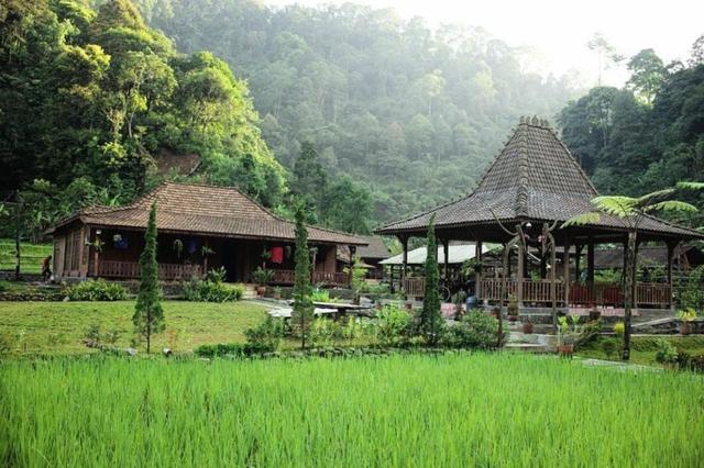 Rumah Lembah Bogor